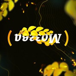 Квиз Мозгва Новички 605